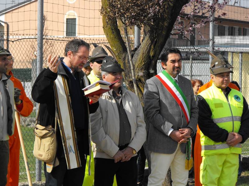 alberi_12015.jpg