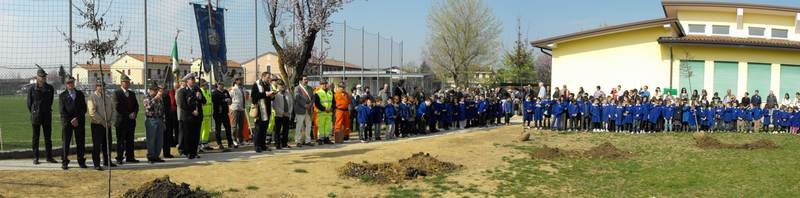 alberi_12018.jpg