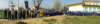 alberi_12018_small.jpg