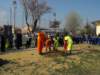 alberi_12021_small.jpg